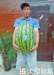 吃瓜网每日大赛 反差大赛51,反差萌十足!吃瓜网每日大赛51反差大赛精彩瞬间大盘点